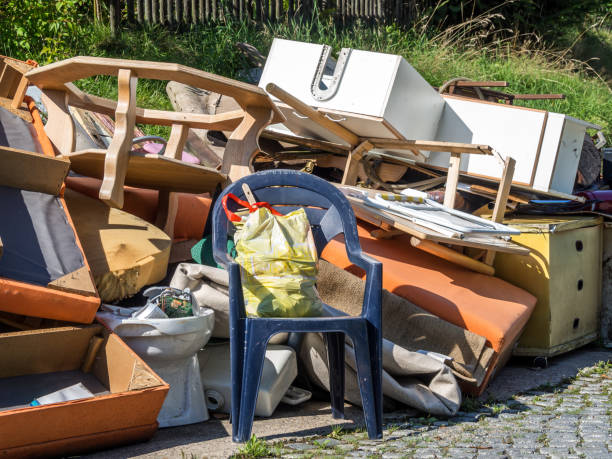 Best Affordable Junk Removal Services  in Carlisle, IA